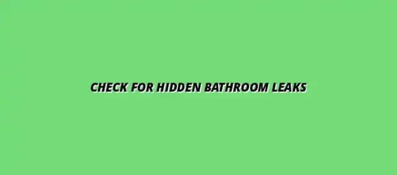 How to check your bathroom plumbing for hidden leaks