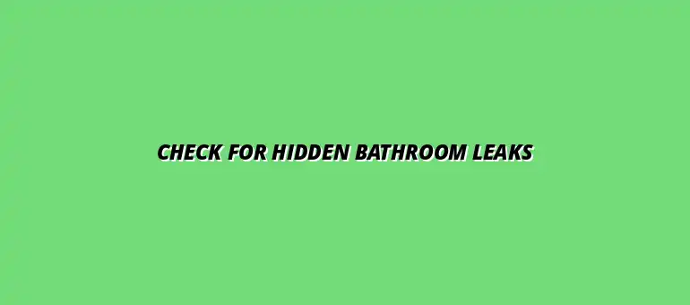 How to check your bathroom plumbing for hidden leaks