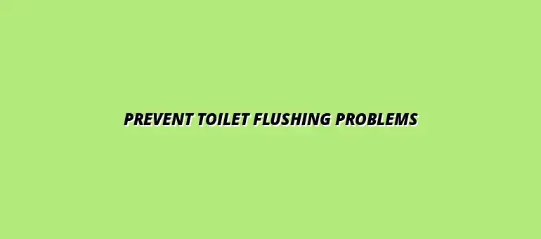 How to maintain your bathroom toilet to avoid flushing issues