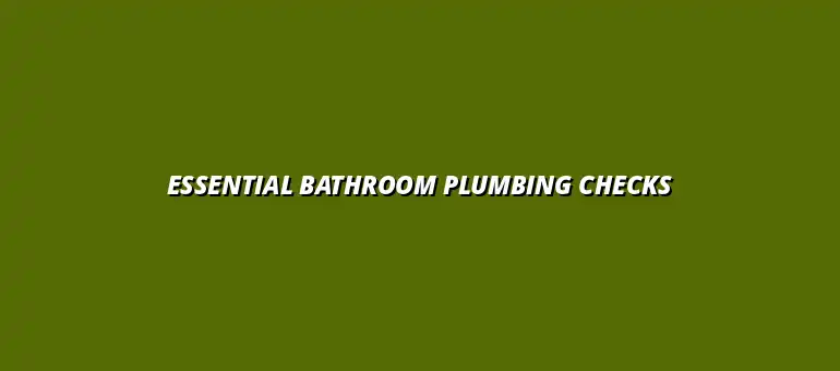 Routine bathroom plumbing checks every homeowner should know