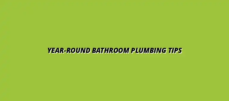 How to keep your bathroom plumbing working smoothly all year