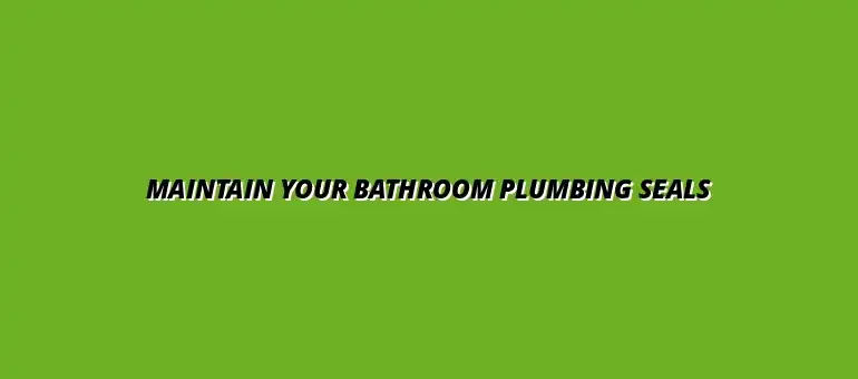 Tips for maintaining your bathroom plumbing seals and gaskets