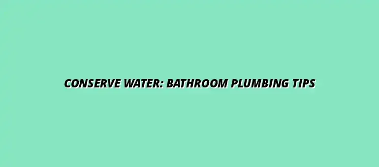 How to maintain your bathroom plumbing to conserve water