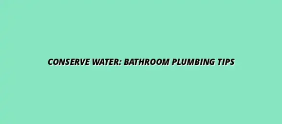 How to maintain your bathroom plumbing to conserve water