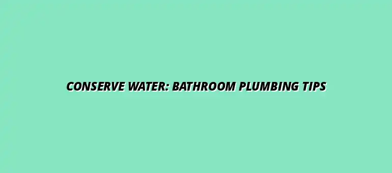 How to maintain your bathroom plumbing to conserve water