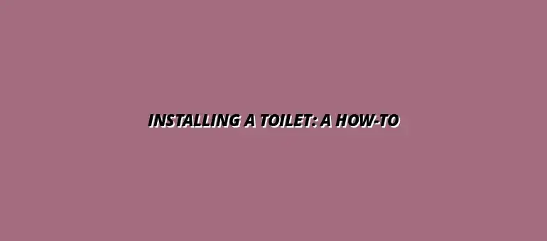 Step-by-step instructions for installing a new toilet