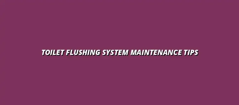 How to maintain your toiletâs flushing system for optimal performance