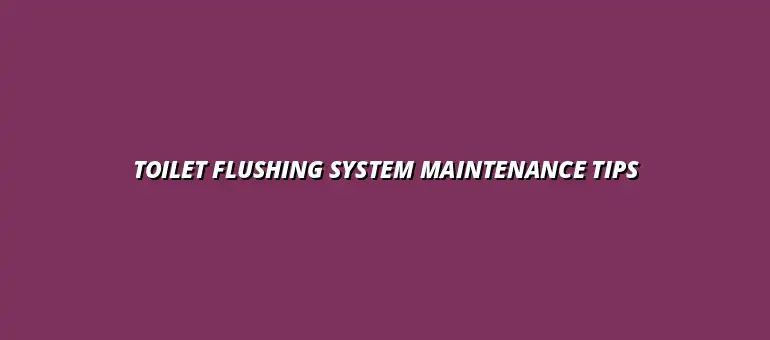 How to maintain your toiletâs flushing system for optimal performance