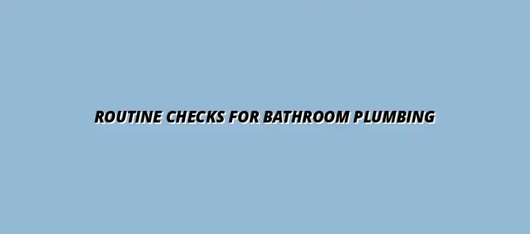 Preventing common bathroom plumbing issues with routine checks