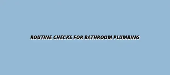 Preventing common bathroom plumbing issues with routine checks