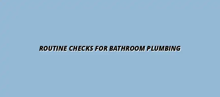 Preventing common bathroom plumbing issues with routine checks